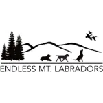 Endless Mountain Labradors