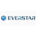 Everstar Electronics company logo