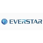 Everstar Electronics Profile