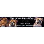 Top Notch Bulldogs Profile