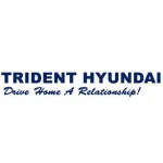 Trident Hyundai Profile