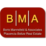 Boris Mannsfeld & Associates Profile