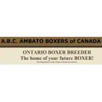 A.B.C. Ambato Boxers