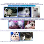 YewCats Cattery Profile