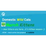Domestic Wild Cats Logo