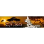 Wild Tafari Logo