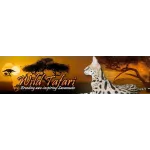Wild Tafari Profile