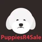PuppiesR4Sale Logo