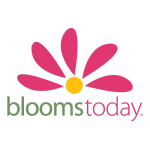 Blooms Rewards / Blooms Today / Flashfirst Profile