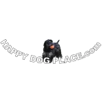 Happy Dog Place Logo