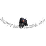 Happy Dog Place Profile