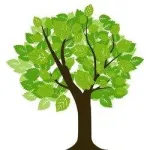 Fast Growing Trees company reviews