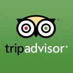 TripAdvisor company reviews
