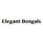 Elegant Bengals