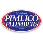 Pimlico Plumbers Profile