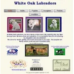 White Oak Labradors