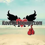 iLoveKickboxing company logo