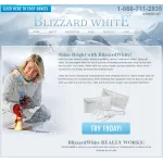 BlizzardWhite company logo