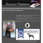 Blackjack Dobermans company logo
