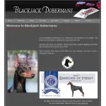 Blackjack Dobermans Profile