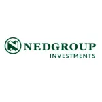 NedGroup Investments Profile