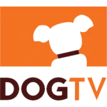 DogTV Network Profile