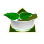 Quantum Wellness Botanical Institute Profile