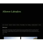 Alluwee Labradors