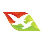 Air Seychelles company reviews