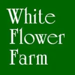 White Flower Farm Customer Service Phone, Email, Contacts