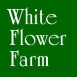 White Flower Farm