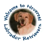 Neverest Labs Profile
