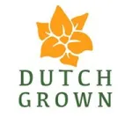 Dutch Grown