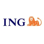 Ing Bank Profile