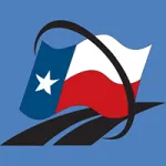 Texas Direct Auto company logo