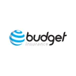 Budget Insurance Company South Africa Profile
