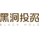 Guangzhou Black Hole Capital Logo