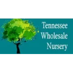 Wholesale Nursery Company