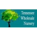 Wholesale Nursery Company Profile