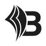 Bizapedia.com company reviews