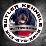 Butler Kennels Rottweilers