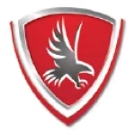 Falcon Insurance Group company logo