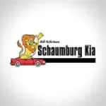 Bob Rohrman Schaumburg Kia Customer Service Phone, Email, Contacts