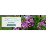 Spring Hill Nursery Profile