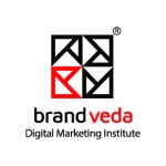 BrandVeda Customer Service Phone, Email, Contacts