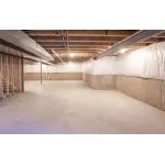 1-800-Busydog Basement Technologies Profile