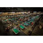 American Poolplayers Association