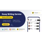 Cheapest Essay