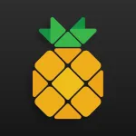 Pineapple - Website Builder Customer Service Phone, Email, Contacts