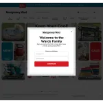 Montgomery Ward Profile